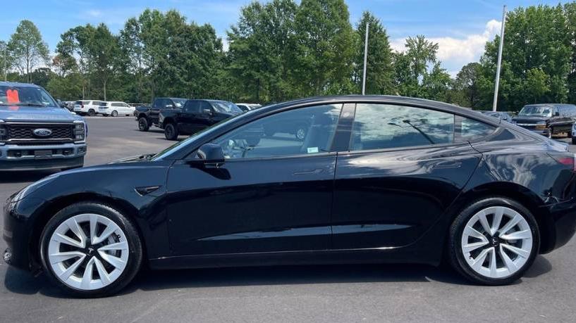 TESLA MODEL 3 2023 5YJ3E1EA1PF431612 image